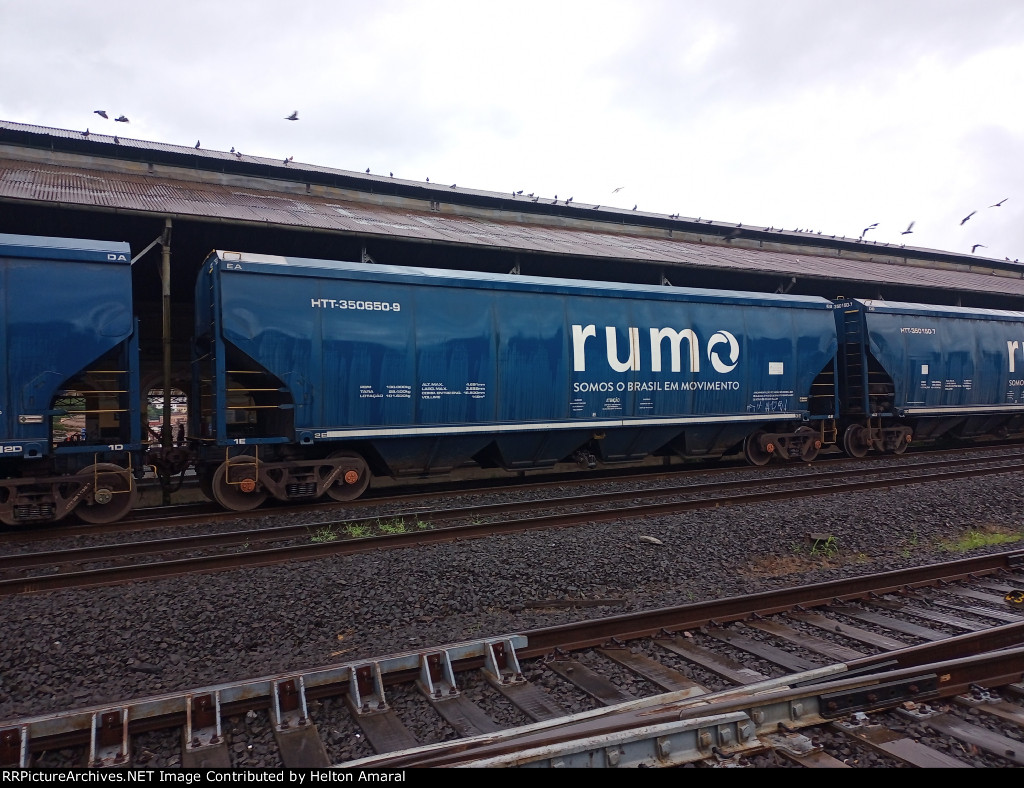 RUMO HTT-350650-9